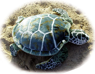 Stofftier Meeresschildkröte