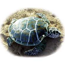 Stofftier Meeresschildkröte